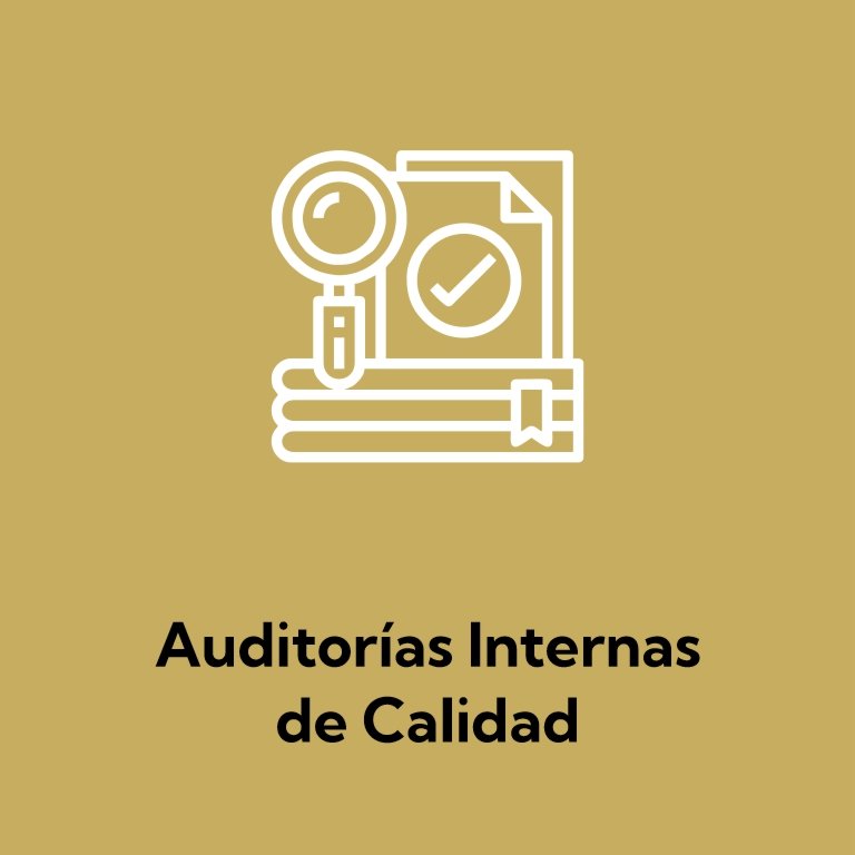 Auditorías Internas de Calidad