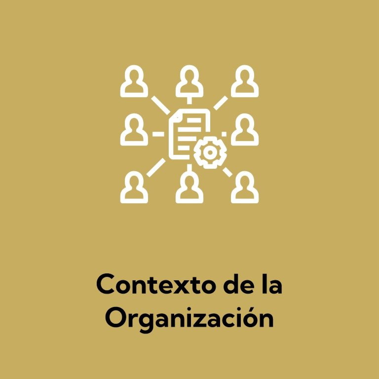 Contexto de la Organización