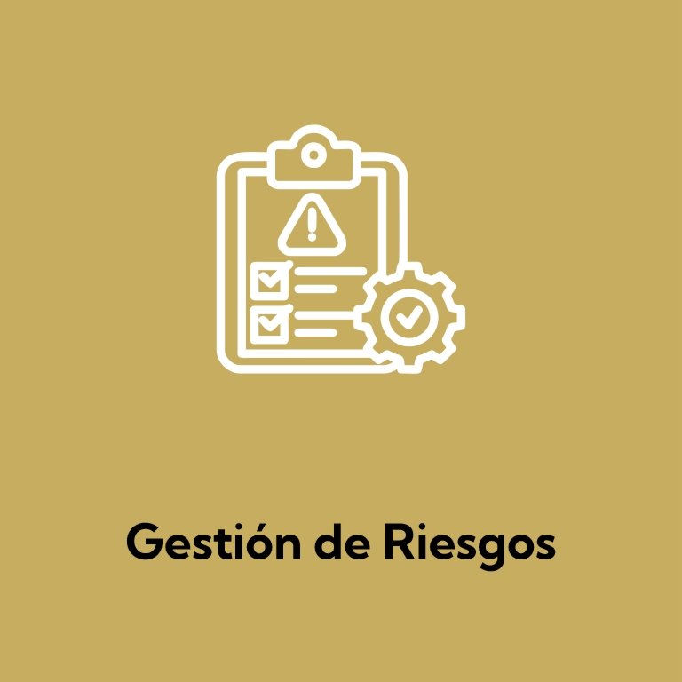 Gestión de Riesgos
