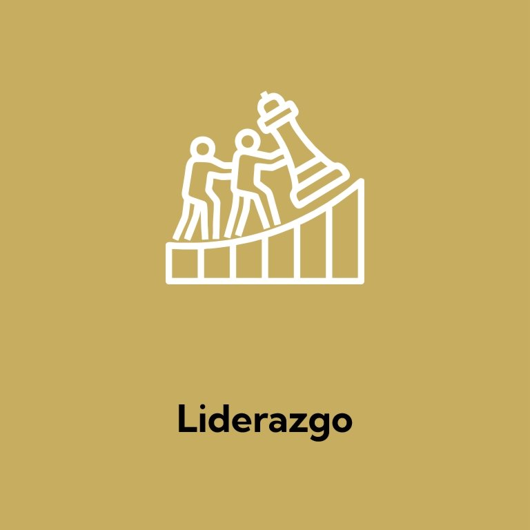 Liderazgo