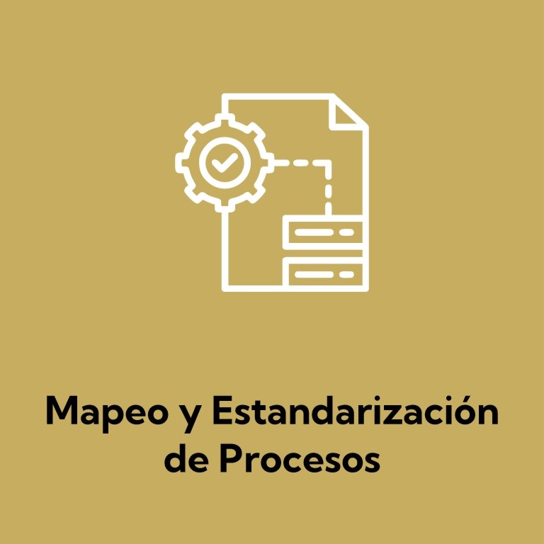 Mapeo y Estandarización de Procesos
