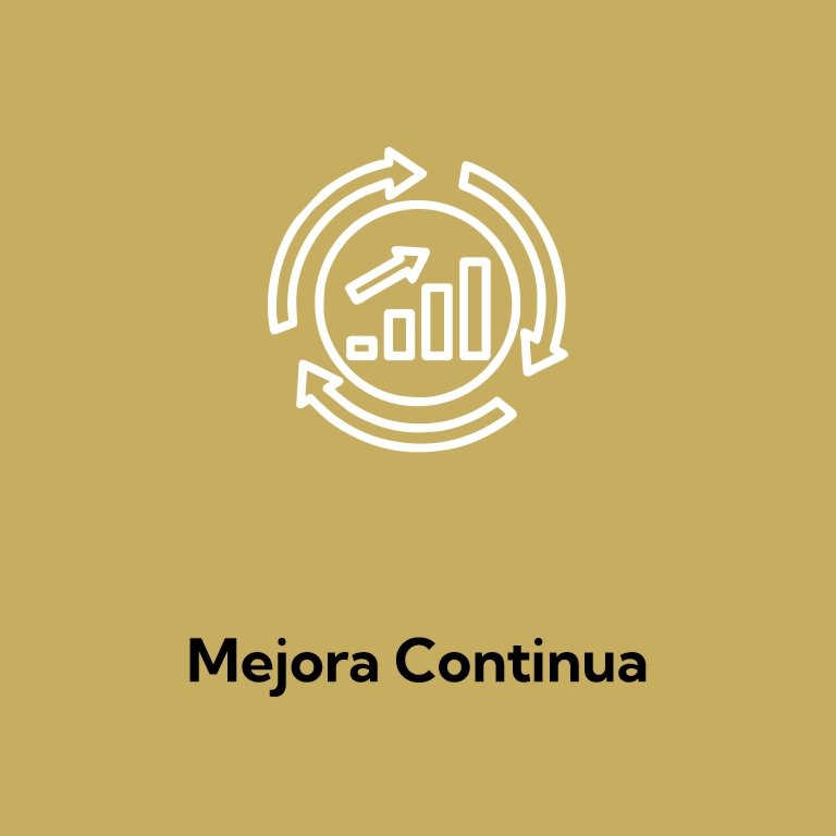 Mejora Continua